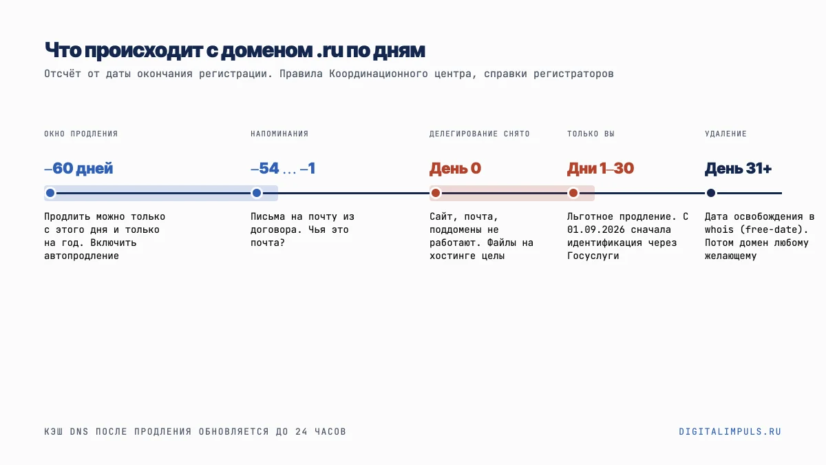 Таймлайн истечения домена: окно продления за 60 дней, день 0, 30 дней льготного периода, освобождение