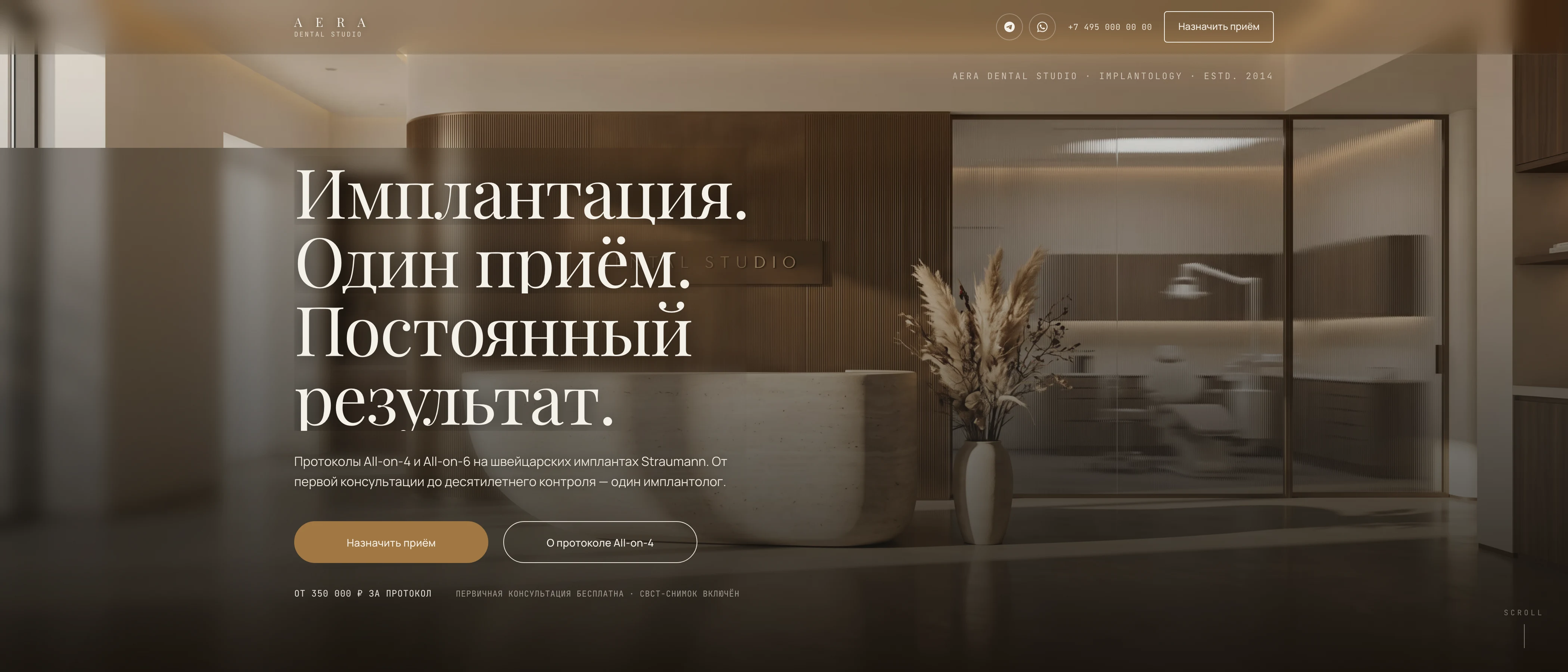Превью сайта Aera